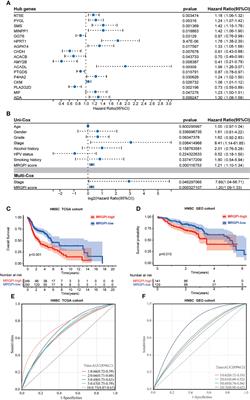 A Metabolism-Related Gene Prognostic Index Bridging Metabolic Signatures and Antitumor Immune Cycling in Head and Neck Squamous Cell Carcinoma